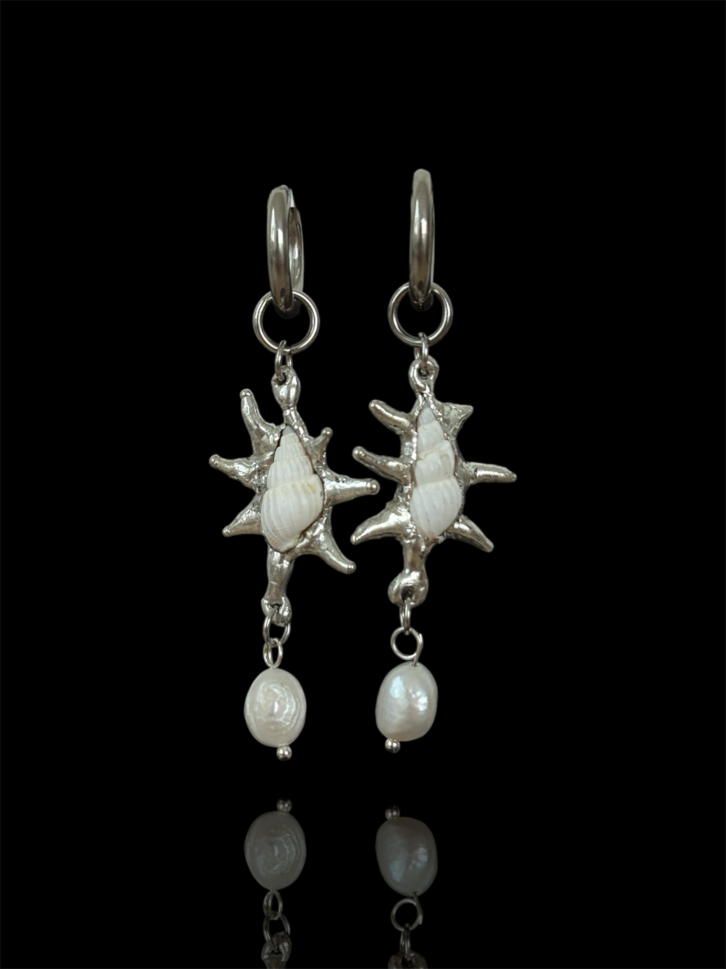 Pearl White Seashells