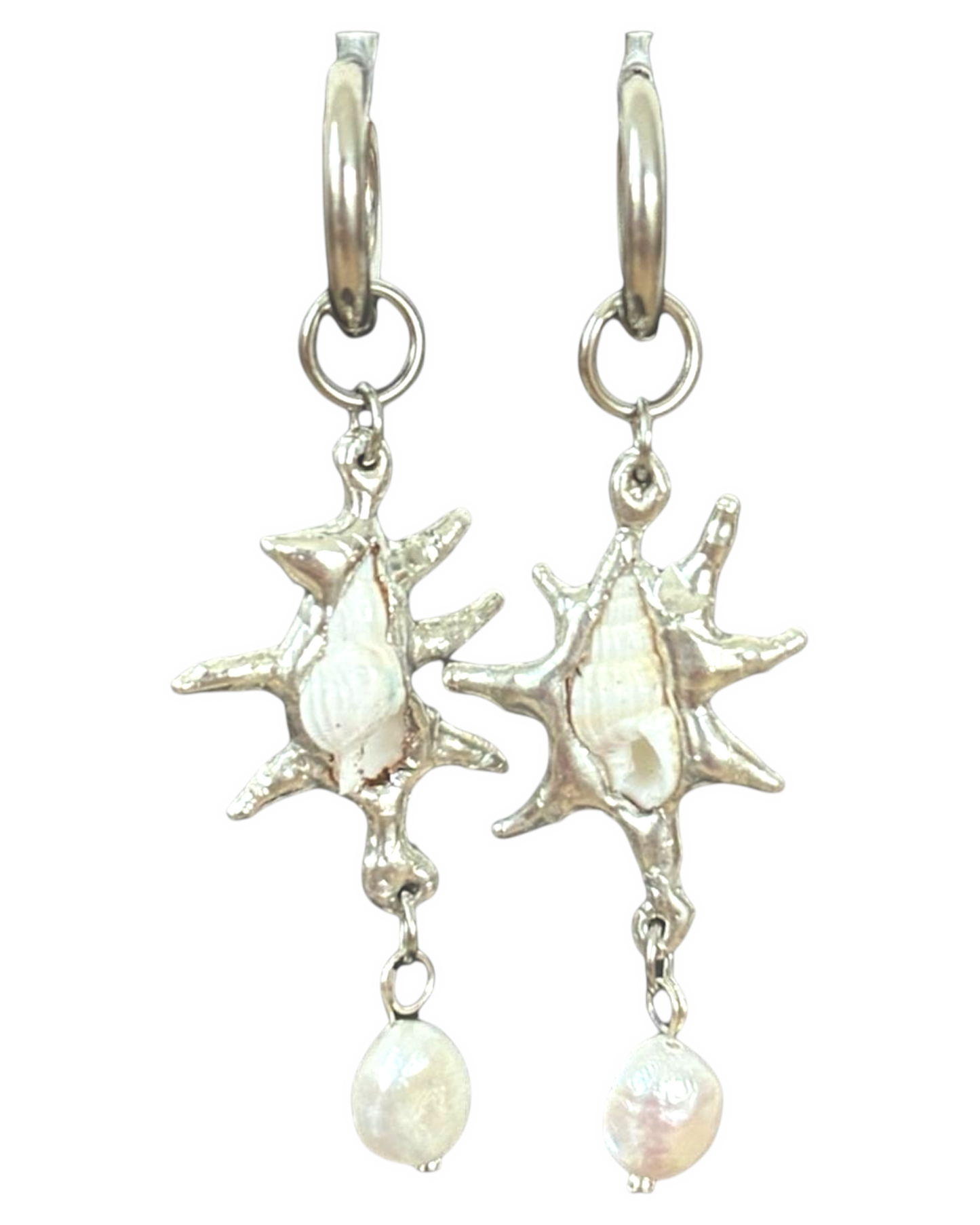 Pearl White Seashells