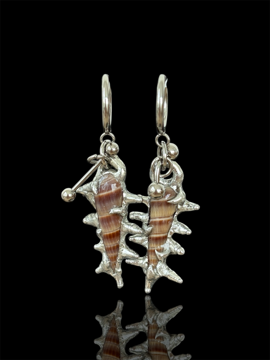 Piercing Sea Shells Earrings