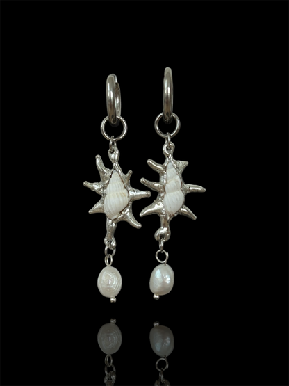 Pearl White Seashells