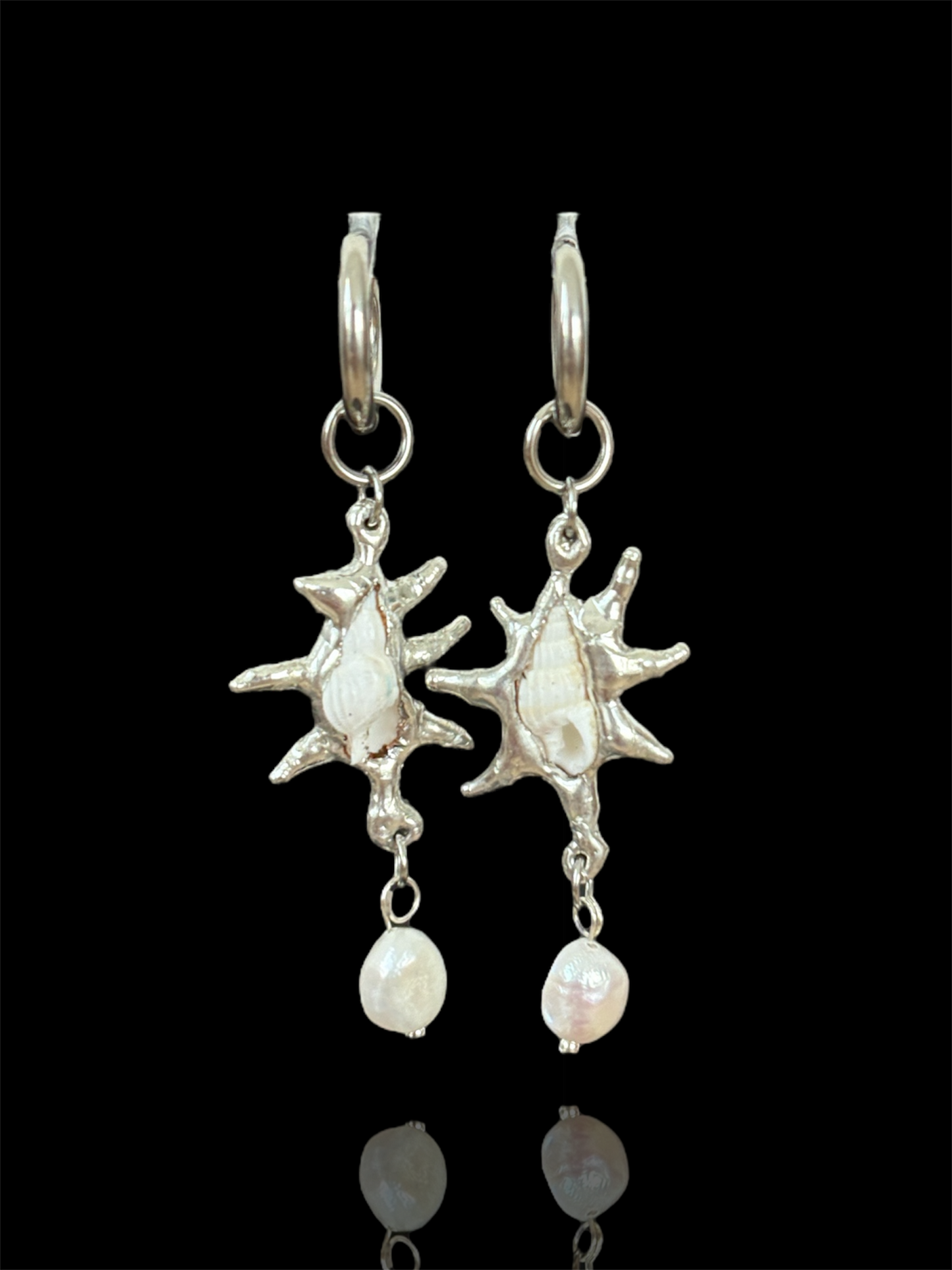 Pearl White Seashells
