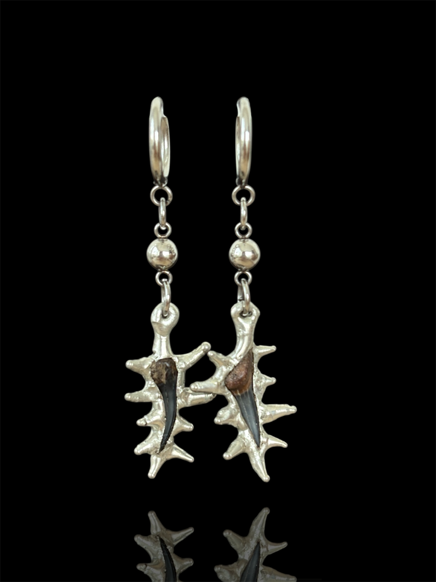 Fossilized Shark Tooth Earrings