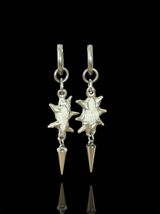 Spiky White Seashells