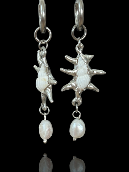 Pearl White Seashells