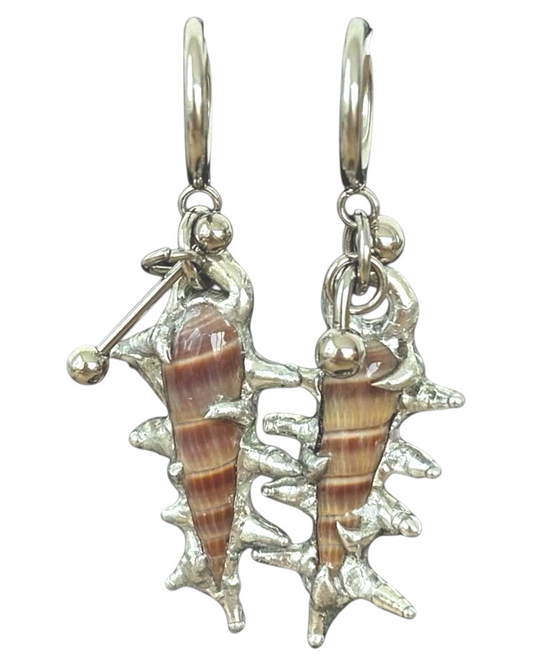 Piercing Sea Shells Earrings