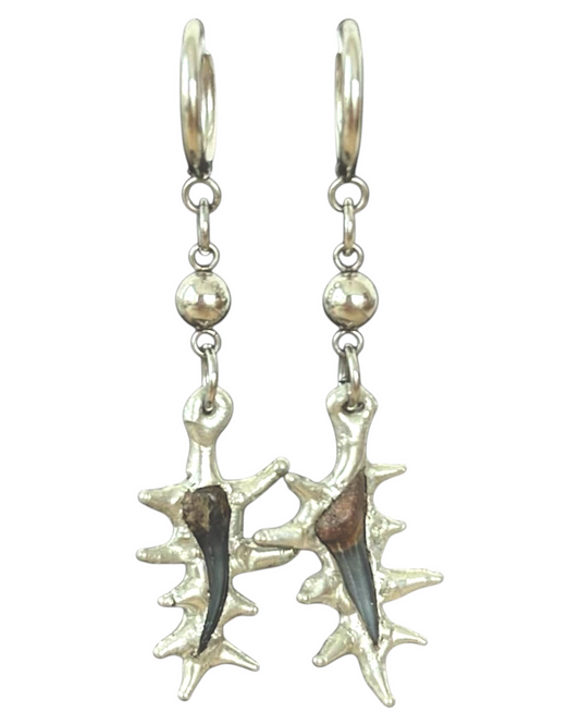 Fossilized Shark Tooth Earrings