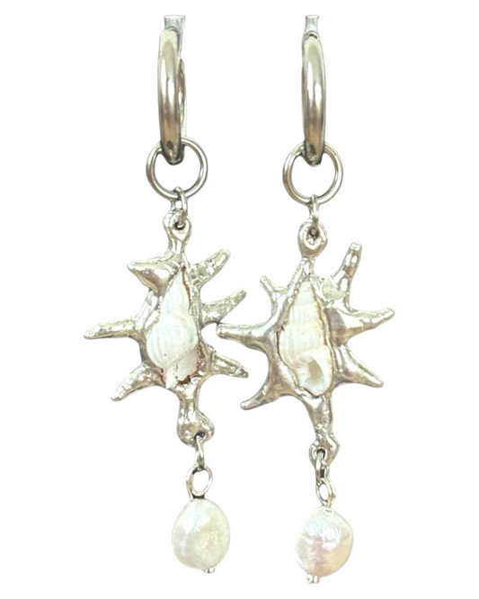 Pearl White Seashells