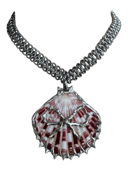 Bow Soldered SeaShell